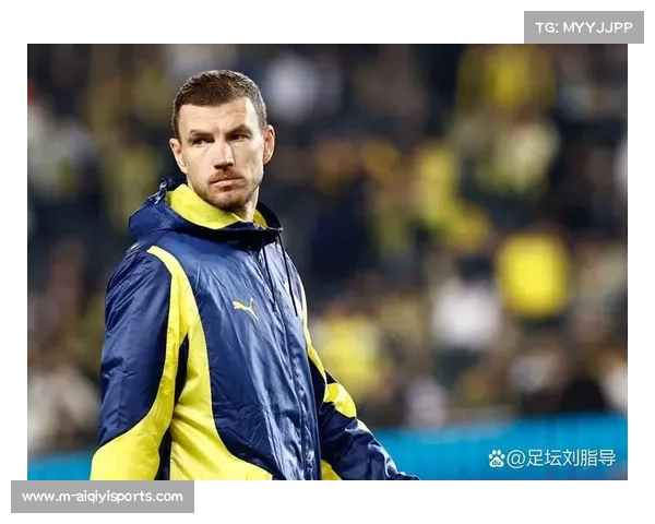 哲科训练拉伤，费内巴切锋线受损